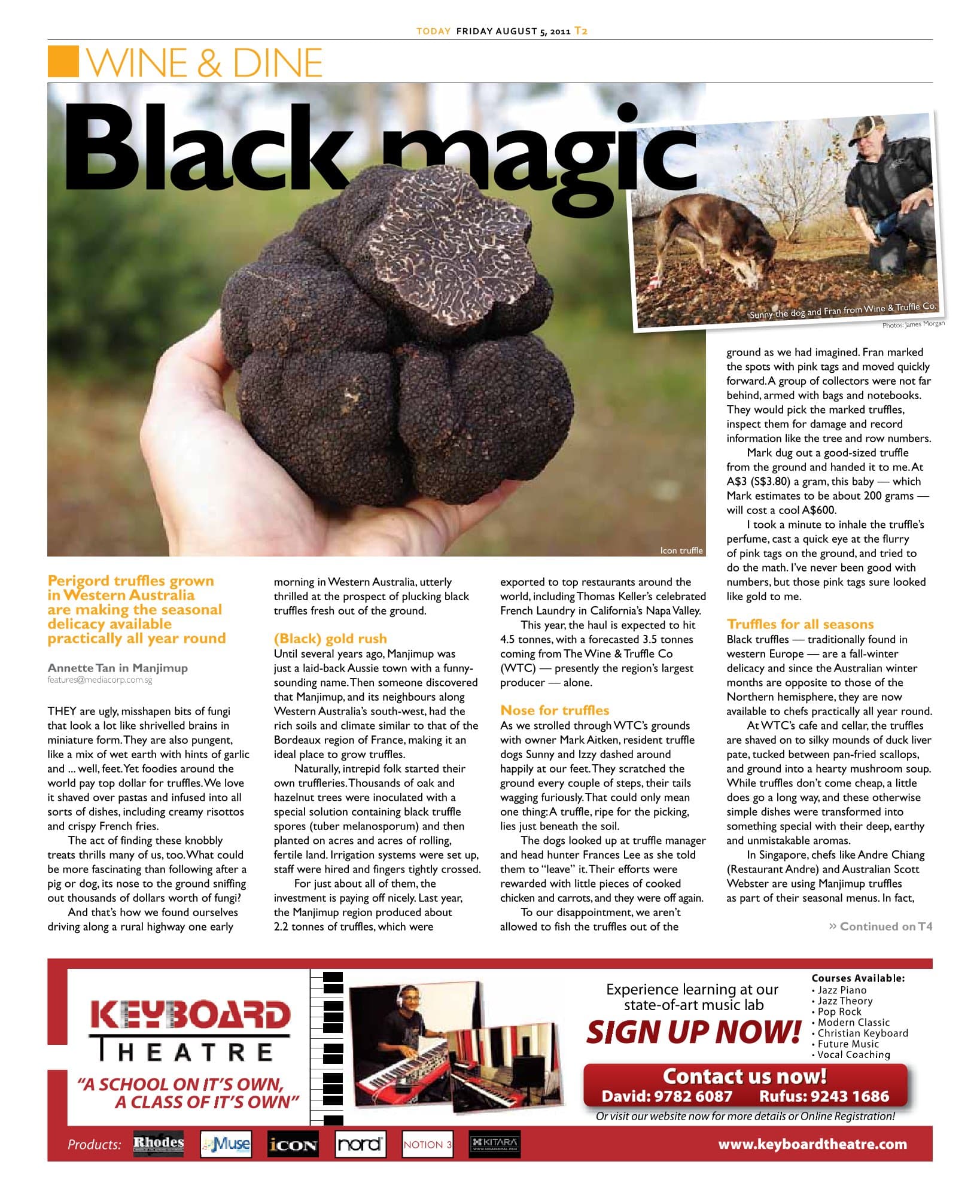 Truffle
